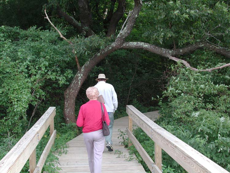 Mom and Dad going under tree branch.jpg 103.0K